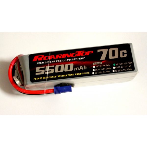 A picture of an rc car battery.